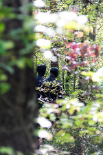 Puy-Saint-André art trail - © Balacé Amandine