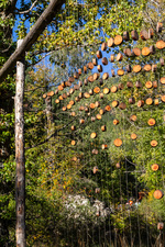 Puy-Saint-André art trail - © Balacé Amandine