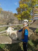 Les visites à la Ferme des Regains - © Ferme des Regains