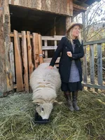 Les visites à la Ferme des Regains - © Ferme des Regains