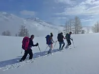 rando raquettes - © Terres de Trek