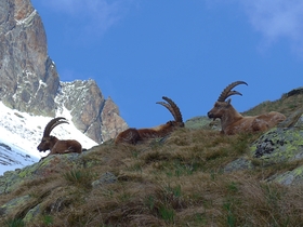 Escursioni - Terre de Trek