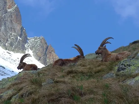 Hikes - Terres de Trek