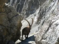 Hikes to discover the lakes and peaks in the country of La Meije with the Hotel le Faranchin - © Morillon P.