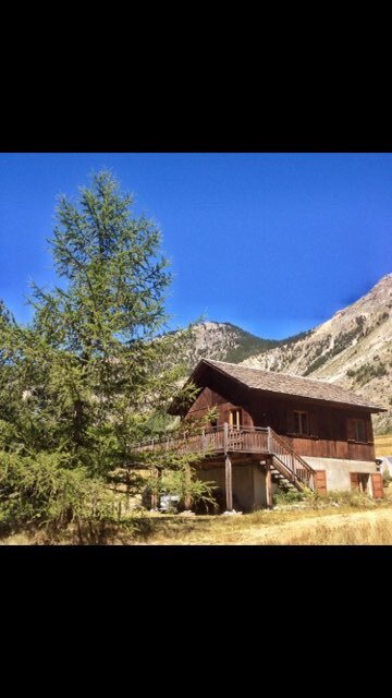 Gentian - © Françoise S