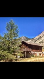 Gentian - © Françoise S