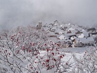 Village - © Tavernier