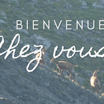 Nature - © ©romanini