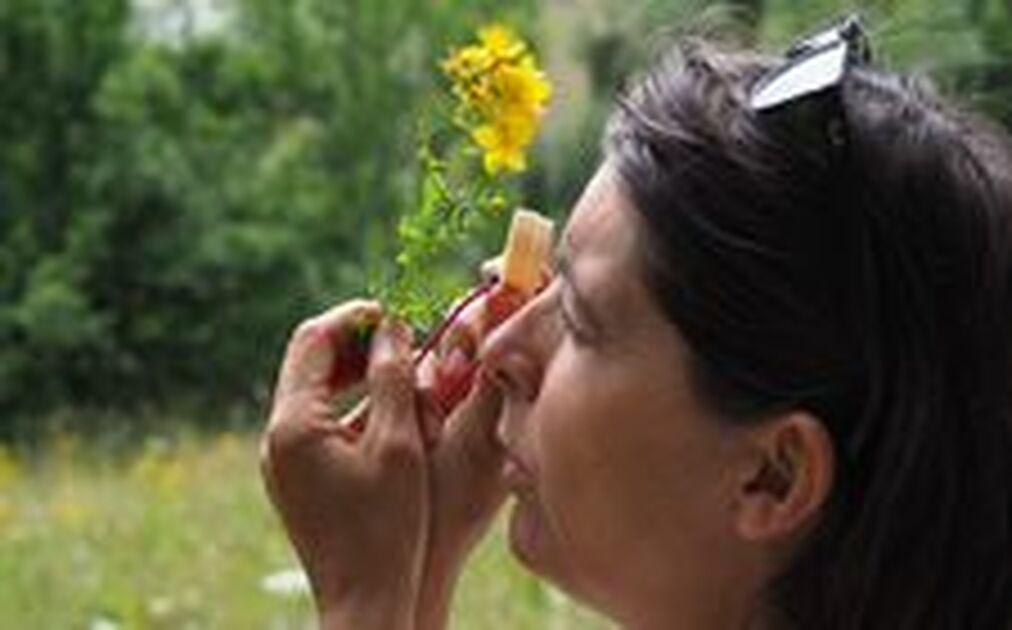 Identification - © Anne MERRY