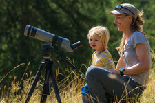 observation marmottes - © Bertrand Bodin Photographe