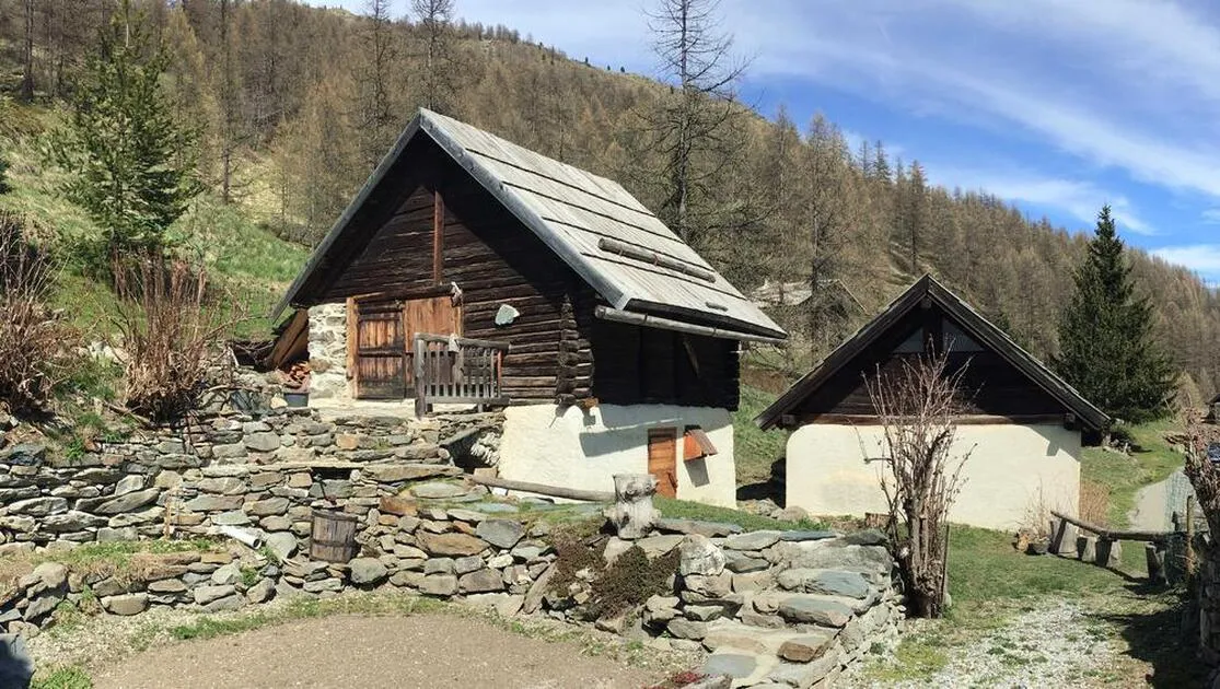 Gentil Robin - Le Petit Fontcouverte - © Échaillon