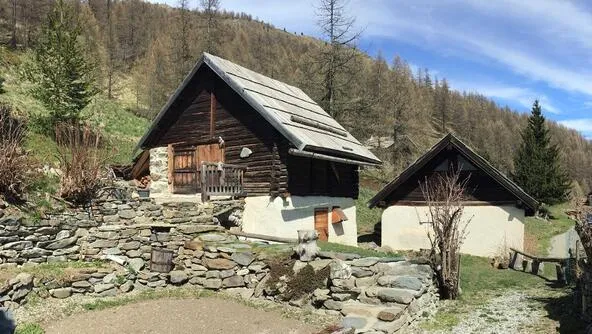 Gentil Robin - Le Petit Fontcouverte