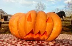 Visite guidée Spécial Halloween - La Petite Ferme des Regains - © (c) Petite Ferme des Regains