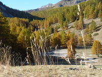 automne - © romanini