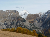 automne - © romanini