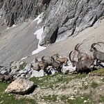 Cros Denis - Le Cristol - © ©crosdenis