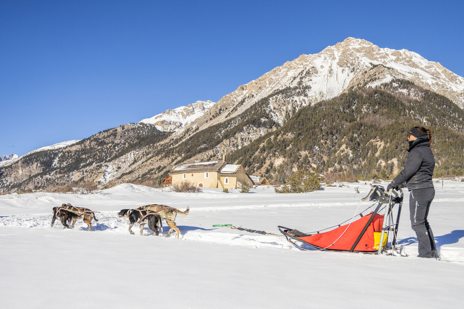 Dog sledding driving lesson - 2 hours (experienced) - Allirand Jordi - © Thibaut Blais