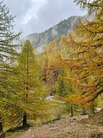 Il lago verde - © S.Morattel