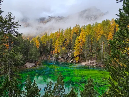 The green lake