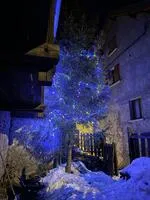 cour hiver - © (c)bosc-haddad