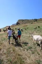 Visite de la Ferme des Molières_La Grave - © S. Morattel