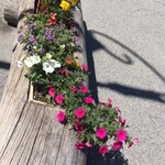 Savatier Germaine Et Bernard - Le Cristol_Névache - © ©savatiergermaine