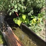 Savatier Germaine Et Bernard - Le Cristol_Névache - © ©savatiergermaine