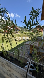 Jean-Laurent Nougaret - Le Narnia - © Jean Laurent Nougaret