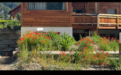 Jean-Laurent Nougaret - Le Névaloup - © Jean Laurent Nougaret