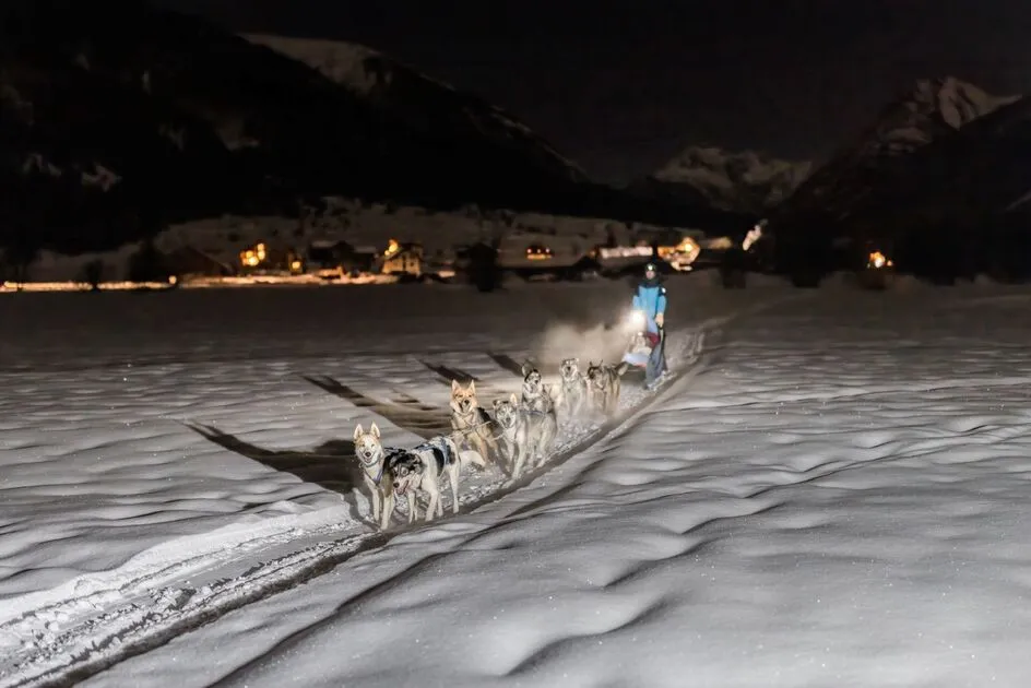 Chiens de traineau - L'Empreinte nordique - © Thibaut Blais