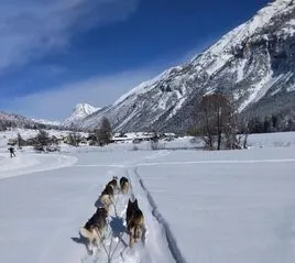 L'Empreinte nordique - Chiens de traineaux - La Clarée - Hautes Vallées - © Sophie Quinones
