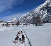 L'Empreinte nordique - Chiens de traineaux - La Clarée - Hautes Vallées - © Sophie Quinones