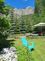 Jardin - © Sonia
