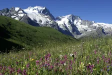 Alpages en fleurs en montant au lac - © @RefugeduGoleon.com