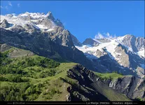 Le gypaète - la Meije - © ©sionnetfrederic