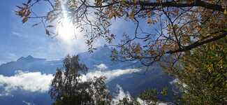 Sionnet Frédéric - Le Gypaète - © ©sionnetfrederic