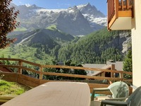 Vue sur le massif de la Meije - La Grave - © ©TEYRAS.P