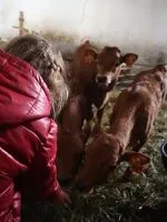 Brunet Farm - Gaec Du Lasseron_Cervières - © Laury Chamerlat