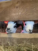 Visite de la Ferme des Molières