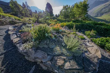 Guided tours of the Lautaret garden - © Pierre Jacquet / OSUG