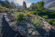 Rocaille - © Pierre Jacquet / OSUG