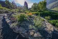 Guided tours of the Lautaret garden - © Pierre Jacquet / OSUG