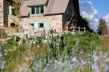 Guided tours of the Lautaret garden - © Pierre Jacquet / OSUG