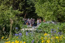 Guided tours of the Lautaret garden - © Pierre Jacquet / OSUG