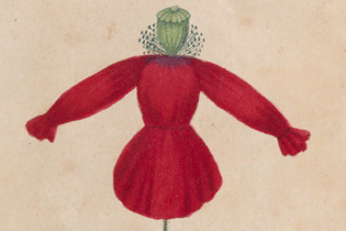 child naturalist drawing workshop