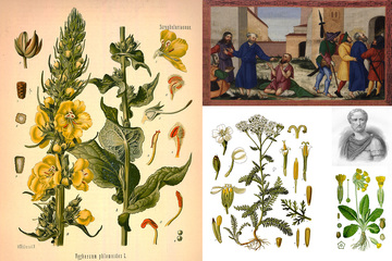 child naturalist drawing workshop - © Carole Chauvin-Payan