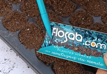 Botanical watercolor workshop for children with the Jardin du Lautaret - © Flosab