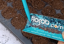 Botanical watercolor workshop for children with the Jardin du Lautaret - © Flosab