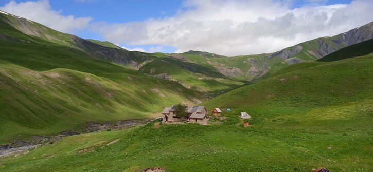 Edible plants weekend at the refuge du Pic du Mas de La Grave