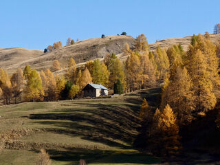 On foot, Cervières with autumn colors - Fugues en Montagne - © Fugues en Montagne